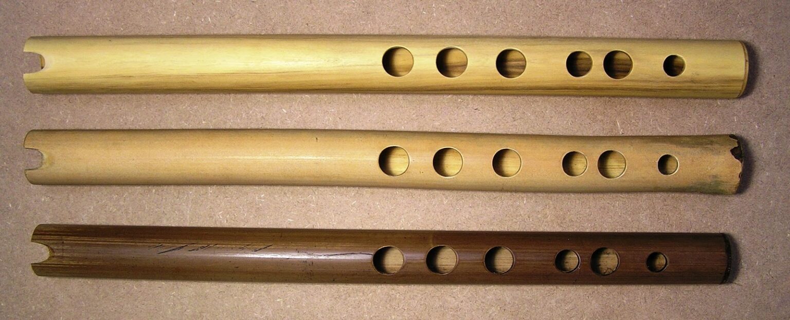 Praistoric Instruments El fascinante mundo del instrumento musical prehistórico