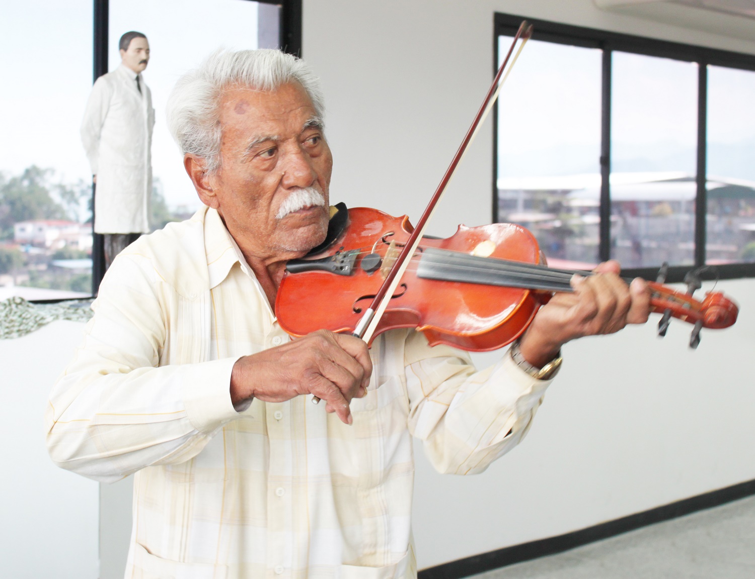 músicos de violín